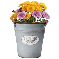 Цветочный горшок H&S Nature D26cm H26cm (24838) фото №2 — интернет-магазин Desire.md