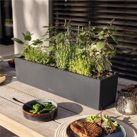 Ghiveci Lechuza Balconera Color 80 Slate imaginea #2 — magazin online Desire.md