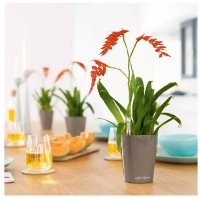 Ghiveci Lechuza Mini Deltini Premium Shiny Taupe imaginea #4 — magazin online Desire.md