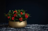 Цветочный горшок Potterypots Eileen XL Metalic Gold фото №2 — интернет-магазин Desire.md