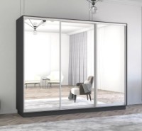 Шкаф-купе Mobildor-Lux Fox Mirror 290x220 Anthracite (fox7314) фото №1 — интернет-магазин Desire.md