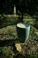 Стакан походный Kupilka 30 Cup Green (KS0G0) фото №2 — интернет-магазин Desire.md