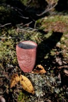 Pahar Kupilka 30 Cup Red (K30R0) imaginea #2 — magazin online Desire.md