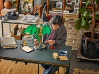 Set de construcție Lego Ninjago: The Guardian Dradon 71847 imaginea #2 — magazin online Desire.md