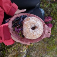 Походная тарелка Kupilka Small Cranberry (K14R) фото №2 — интернет-магазин Desire.md