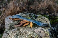 Lingura-furculiță Kupilka Spork 225 Blue (S05K) imaginea #2 — magazin online Desire.md