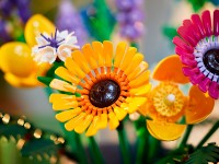 Set de construcție Lego The Botanical Collection: Wildflower Bouquet (10313) imaginea #7 — magazin online Desire.md