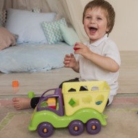 Sortator Knopa Силач 87009 imaginea #4 — magazin online Desire.md