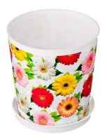 Ghiveci Alternativa Вероника (М4421)