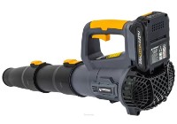 Suflantă de frunze Powermat PM-ADDL-2AHM imaginea #3 — magazin online Desire.md