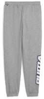 Pantaloni spotivi pentru copii Puma Basketball Hoopstellations Fl Medium Gray Heather, s.128 (68897703) imaginea #2 — magazin online Desire.md