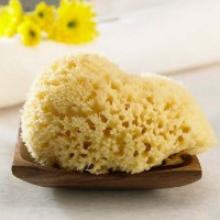 Burete de baie pentru copii Ok Baby Natural Sea Sponge Honeycomb №10 (38471000) imaginea #3 — magazin online Desire.md