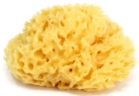 Губка детская Ok Baby Natural Sea Sponge Honeycomb №12 (38471200) фото №1 — интернет-магазин Desire.md