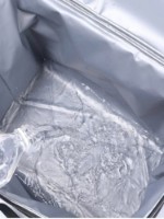 Geanta frigorifica 4Life Lunch Bag AT41 imaginea #2 — magazin online Desire.md