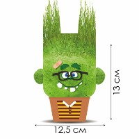 Детский набор для исcледований Hape Jolly Charles (848102) фото №2 — интернет-магазин Desire.md