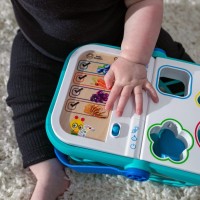 Sortator Hape Magic Touch Shopping Basket (800913) imaginea #5 — magazin online Desire.md