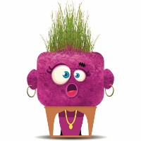 Детский набор для исcледований Hape Surprised Sandra (848101)