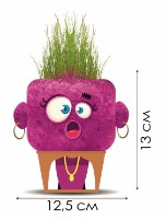 Детский набор для исcледований Hape Surprised Sandra (848101) фото №2 — интернет-магазин Desire.md