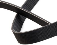 Curea trapezoidală Continental 7PK2842 imaginea #4 — magazin online Desire.md