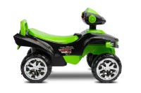 Толокар Caretero Mini Raptor Green (CT.222336) фото №6 — интернет-магазин Desire.md