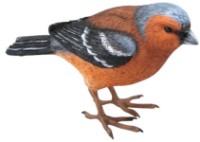 Садовая фигура Figuren Discounter Bird (4323)