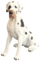 Figurina gradina Figuren Discounter Dalmatian (Z2851)