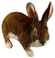 Figurina gradina Figuren Discounter Rabbit (z2271)