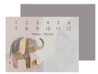 Игровой коврик Ceba Baby Milestone Basic Elephant Family 92x72cm (W-309-000-781) фото №2 — интернет-магазин Desire.md