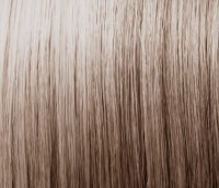 Vopsea pentru păr Tassel Dousse 9.1 100ml imaginea #2 — magazin online Desire.md