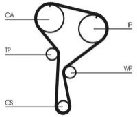 Curea de distribuție Continental CT1035WP4 imaginea #2 — magazin online Desire.md