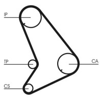 Curea de distribuție Continental CT1055 imaginea #2 — magazin online Desire.md