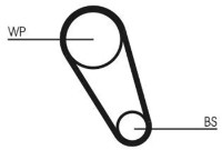 Curea de distribuție Continental CT1169 imaginea #2 — magazin online Desire.md