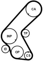 Curea de distribuție Continental CT1178K1 imaginea #3 — magazin online Desire.md