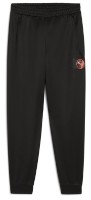 Детские спортивные штаны Puma Active Sports Graphic Puma Black, s.176