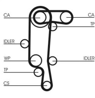 Curea de distribuție Continental CT957K1 imaginea #2 — magazin online Desire.md