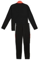 Costum sportiv pentru bărbați Puma Individualliga Puma Black/White/Flat Light Gray, s.L imaginea #2 — magazin online Desire.md