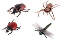 Figurine animale ChiToys Animal 20cm (YX-C285-2)