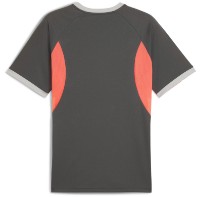 Мужская футболка Puma Individualliga Graphic Shadow Gray/Puma White/Glowing Red, s.XL фото №2 — интернет-магазин Desire.md