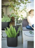 Цветочный горшок Keter Cube Planter S 29.5x29.5x29.5cm (56130) фото №2 — интернет-магазин Desire.md