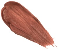 Ruj de buze Shik Soft Matte 04 Caramel imaginea #2 — magazin online Desire.md