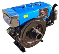 Двигатель бензиновый TATA ZH1100N