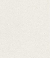 Tapete A.S.Creation 79042-2 Flowers Symphony