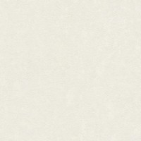 Tapete A.S.Creation 79126-3 Sylvana