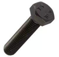 Bulon Reyher 097A36150