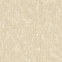 Обои Zambaiti Parati 16705 Murella 100