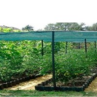 Сетка Ekspand 10001885 фото №3 — интернет-магазин Desire.md