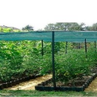 Plase Ekspand 10001888 imaginea #3 — magazin online Desire.md