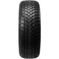 Шина GT Radial WinterPro 2 Evo 205/60 R16 96H XL фото №2 — интернет-магазин Desire.md