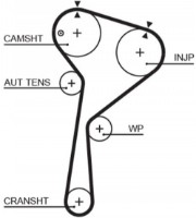 Ремень ГРМ Gates K035675XS фото №2 — интернет-магазин Desire.md