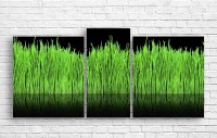 Картина ArtDesign Green grass 133x55cm (A-10197)